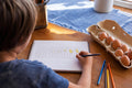 Child drawing a day-by-day egg hatch chart in a notebook next to a carton of brown eggs