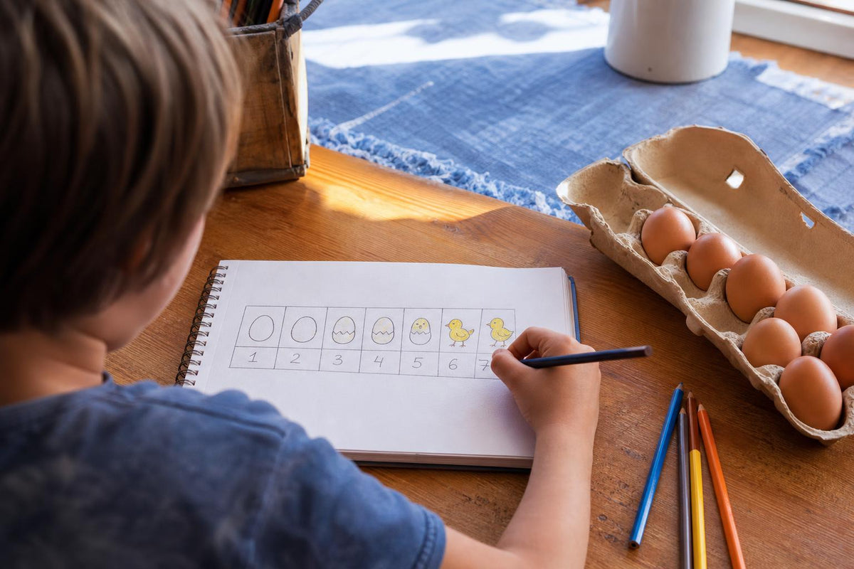 Child drawing a day-by-day egg hatch chart in a notebook next to a carton of brown eggs