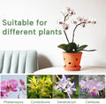 6 Inch Terracotta Orchid Pots with Holes, Saucers - 3 Pack Clay Orchid Planter Pots for Repotting, Small Terra Cotta Pot, Indoor & Outdoor, Promotes Air Circulation