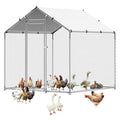 Metal Chicken Coop 6.56x6.56x6.56