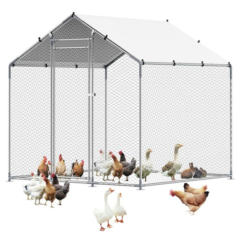 Metal Chicken Coop 6.56x6.56x6.56