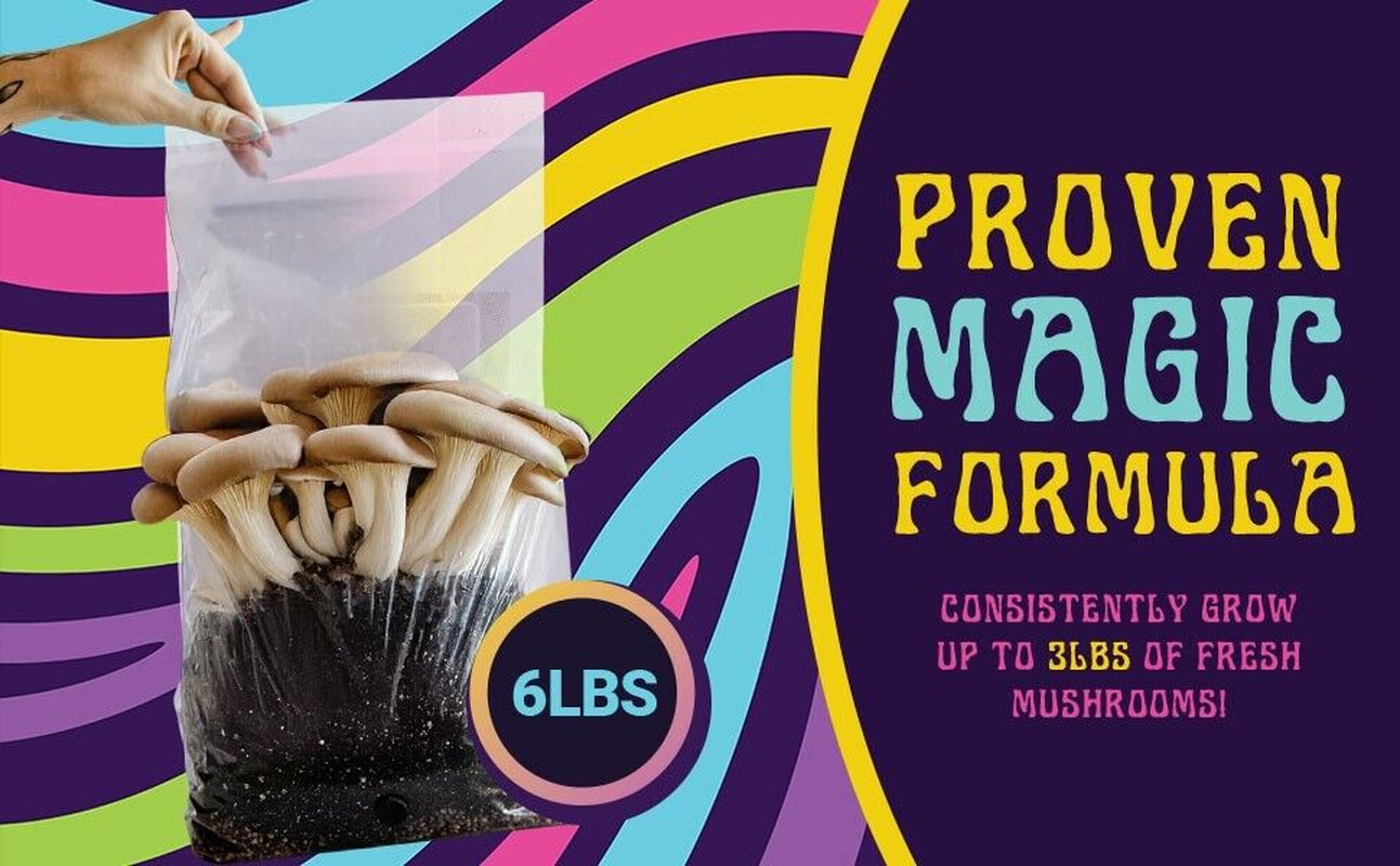 6lbs All-in-One Mushroom Grow Kit in a Bag | HUGE FLUSHES | Easy to Use