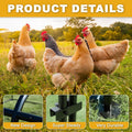 Large Walk-in Metal Chicken Coop Poultry Cage Hen House w/Cover 6.6x9.8x6.6ft