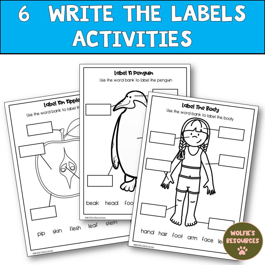 Science Worksheets For Kindergarten And Homeschool