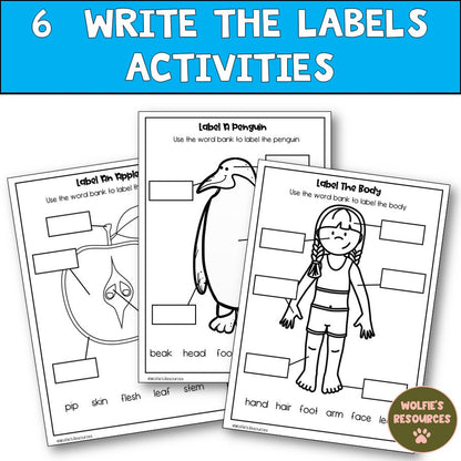 Science Worksheets For Kindergarten And Homeschool