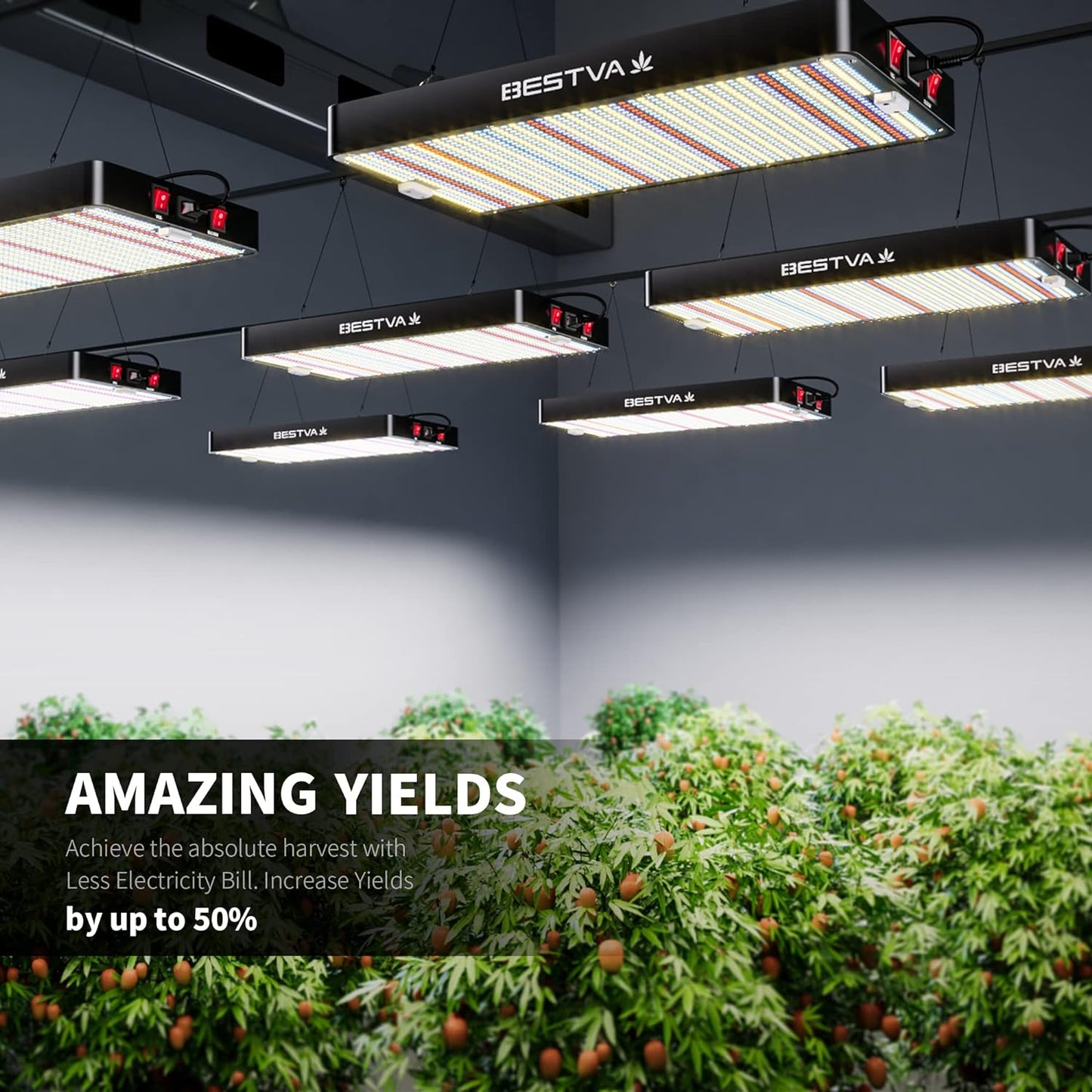 2025 Upgrade DC1000 Led Grow Light with High Yield Diodes Full Spectrum LED Grow Lights for Indoor Plants Greenhouse Veg Bloom Light Hydroponic Grow Lamp
