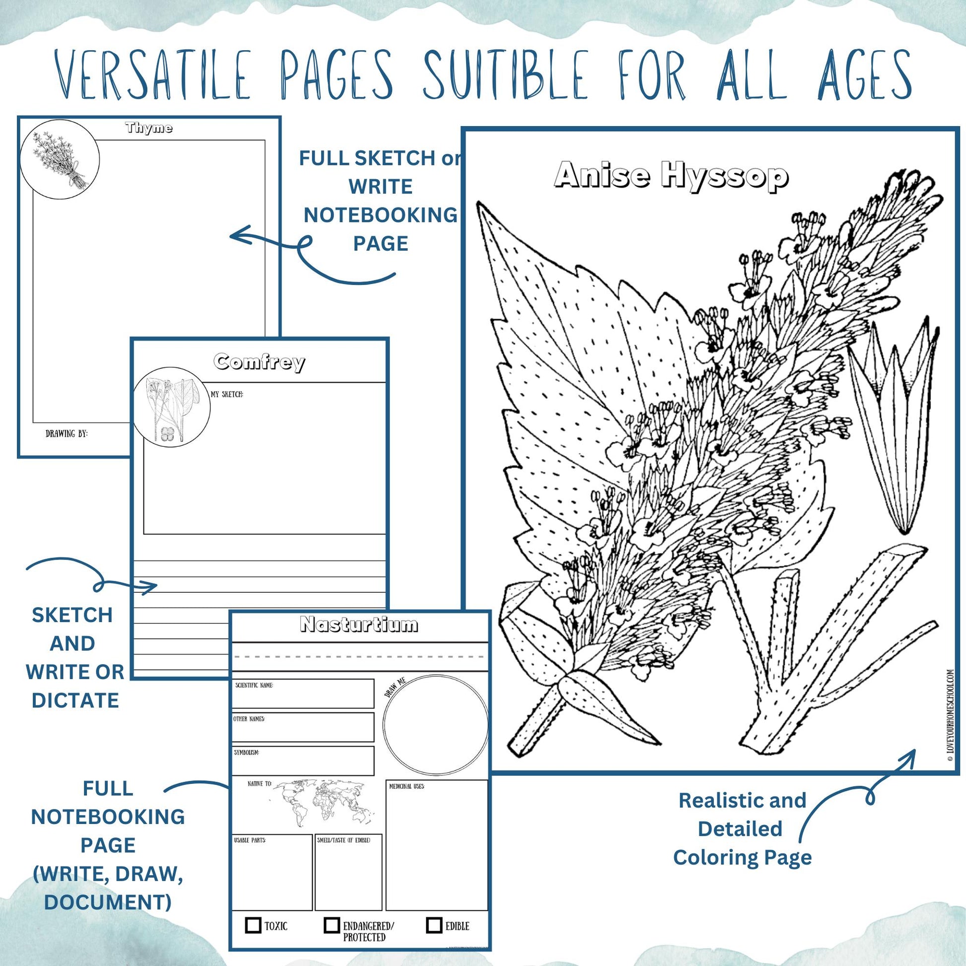 HUGE Homeschool Garden Herbs Notebooking Journal 266 Pages Homeschool Nature Botany Mini Unit Study Coloring Pages Flashcards Curriculum