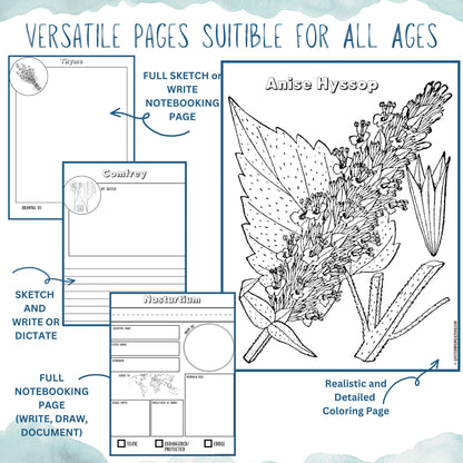 HUGE Homeschool Garden Herbs Notebooking Journal 266 Pages Homeschool Nature Botany Mini Unit Study Coloring Pages Flashcards Curriculum