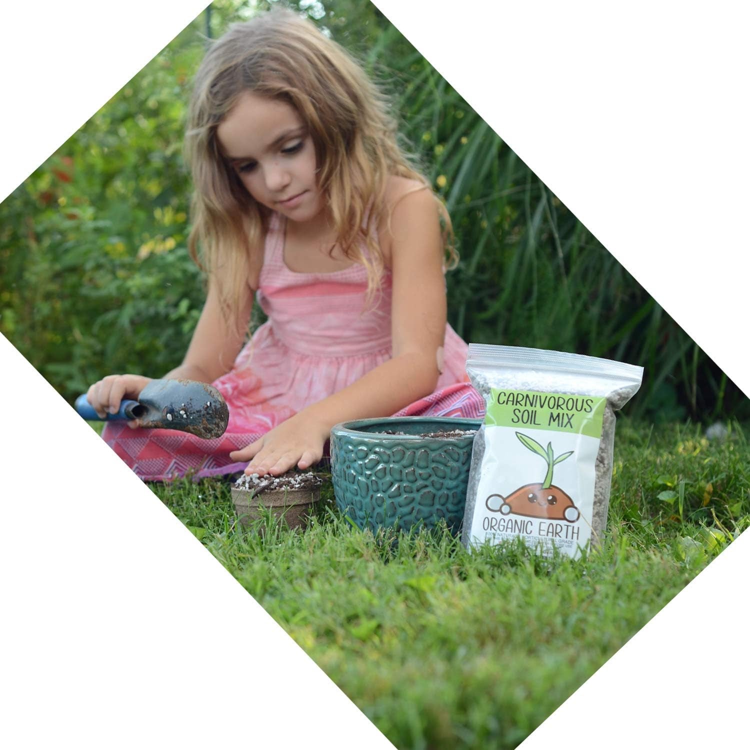 Carnivorous Plant Soil Mix 1 QT - Plant Food Peat Moss & Perlite for Carnivorous Plants - Terrarium Soil, Pitcher Plant Soil, Venus Fly Trap Soil