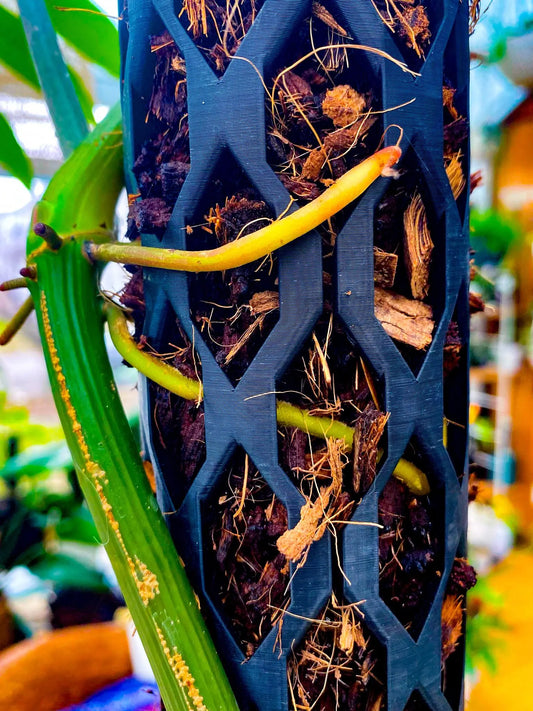 Professional Moss Pole Kit | Extendable Self-Watering Plant Support for Monstera & Climbing Plants | Plant Accessories