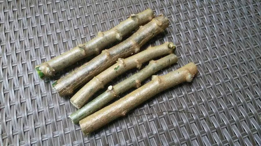 Cassava Manihot Esculenta 4 cuttings " Sweet Jamaica Red"   Organically Grown, FREE SHIPPING