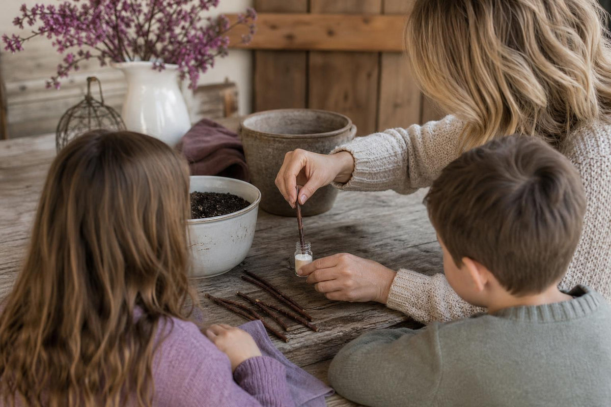 A parent and two children at a farmhouse table dipping a bare, leafless plum tree cutting into rooting powder