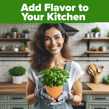 30 Herb Seeds Pack | 9,500 𝗡𝗢𝗡-𝗚𝗠𝗢 𝗨𝗦𝗔 Heirloom Seeds | Indoor & Outdoor Planting | Culinary Herb Variety Pack | HG30H Perfect for Hydroponic Gardens | Parsley, Rosemary,Thyme,More