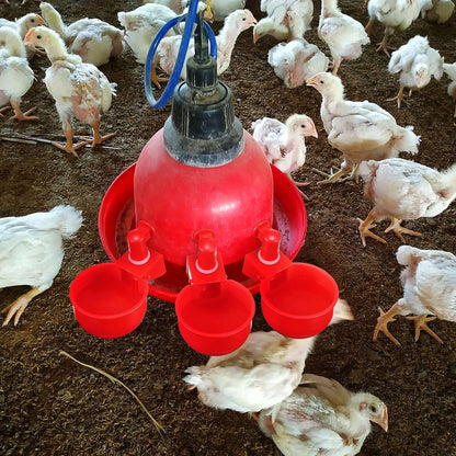 Chicken Water Cups Chicken Waterer Cups Water Feeder Cup 3/8 Inch Thread Automatic Filling Waterer Poultry Drinking Bowl for Duck Turkey Bunny(Red,12 Pieces)