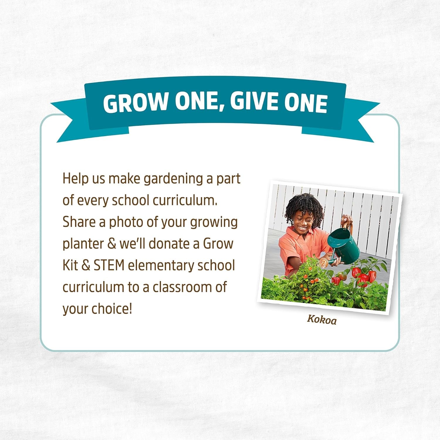 Self-Watering Terracotta Olla Pot (Pack of 3), 700mL Provides 1 Week of Precision Watering