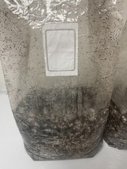 MycoHaus 2X Five LB Bags Sterilized Compost Bulk Mushroom Substrate  Grow Kit