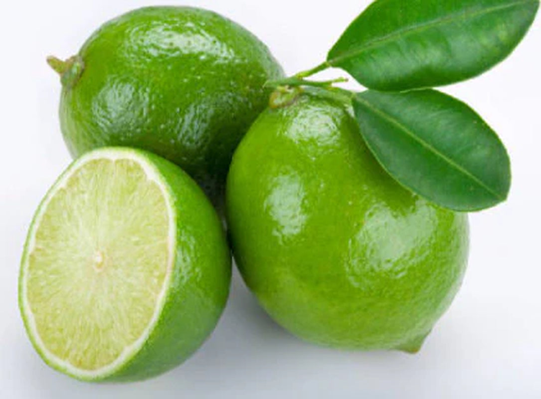 RARE Dwarf Key LIME-Grow indoors in a pot or Out-Very Juicy fruit (2.5 ,10 SEED(Non-Gmo)Fresh harvested in our Usa Farm plant-Ships same Day