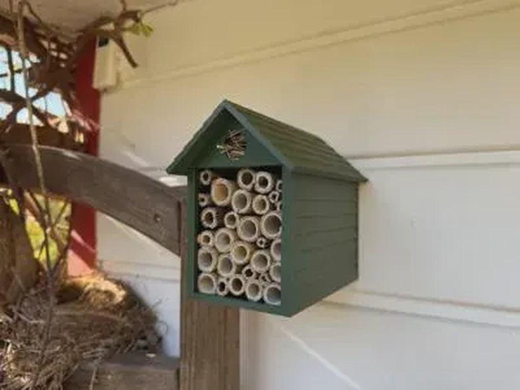 Bee Hotel