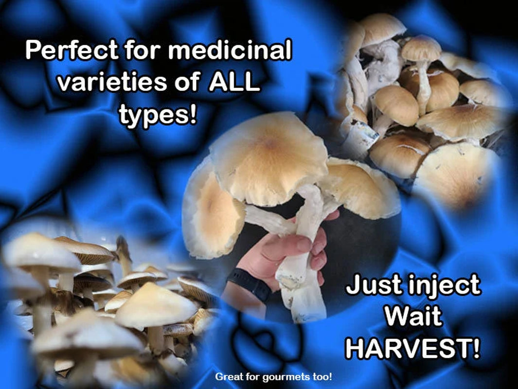 FIVE Magical 5lb All In One Mushroom Growing Bags discounted listing!