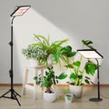 Grow Lights for Indoor Plants Full Spectrum with Stand LED Standing Plant Lights