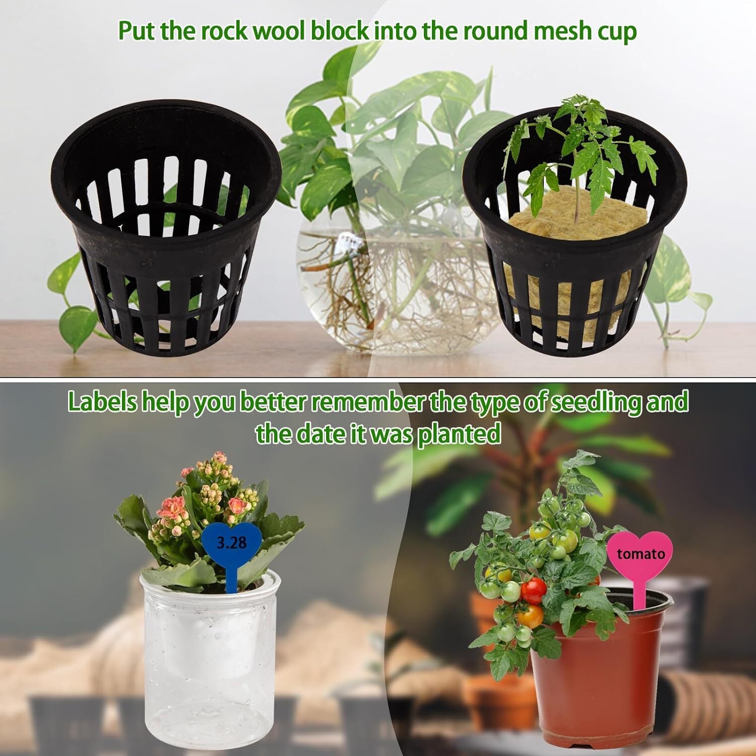 Premium Hydroponic Rockwool Grow Cubes Rapid Plant Growth Root Development Large