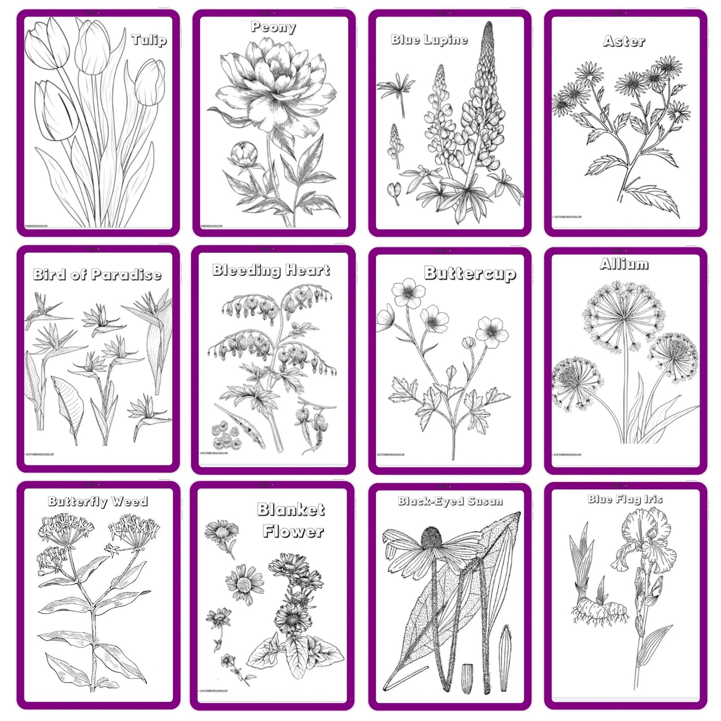 HUGE Homeschool Flower Notebooking Pack 322 Pages Flower Garden Unit Study Worksheets Curriculum Nature Journal Flashcard Coloring Page