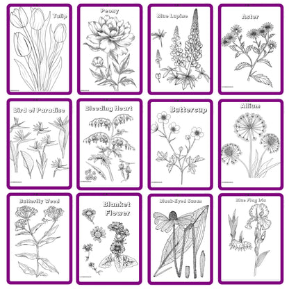 HUGE Homeschool Flower Notebooking Pack 322 Pages Flower Garden Unit Study Worksheets Curriculum Nature Journal Flashcard Coloring Page