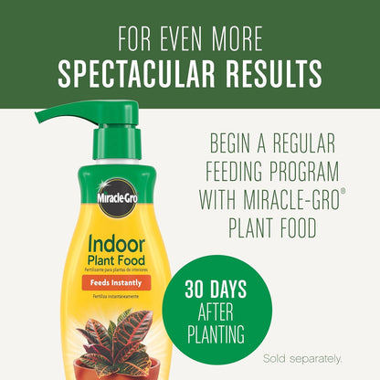 Houseplant Potting Mix: Fertilized, Perlite Soil for Indoor Gardening, Designed to Be Less Prone to Gnats, 4 qt.