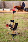 Freestanding Chicken Perch