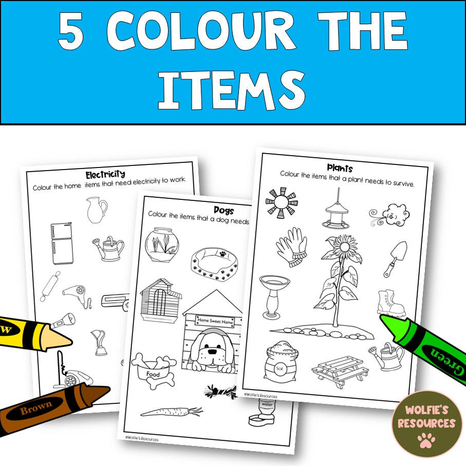 Science Worksheets For Kindergarten And Homeschool