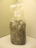 Maitake / Hen of the Woods Mushroom Grow Kit  - 5 LB - Ready to Fruit