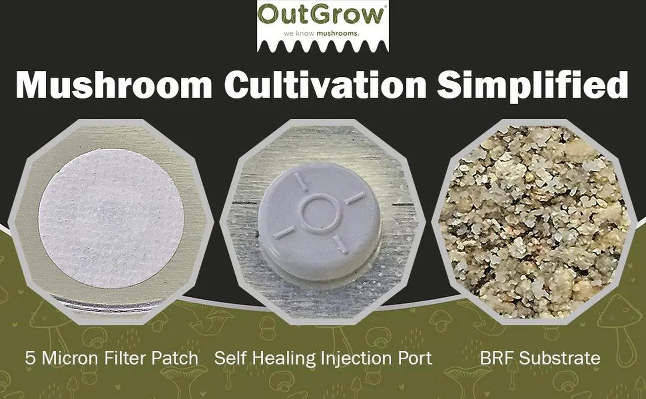 BRF Jars Brown Rice Flour Mushroom Substrate (12 Pack)