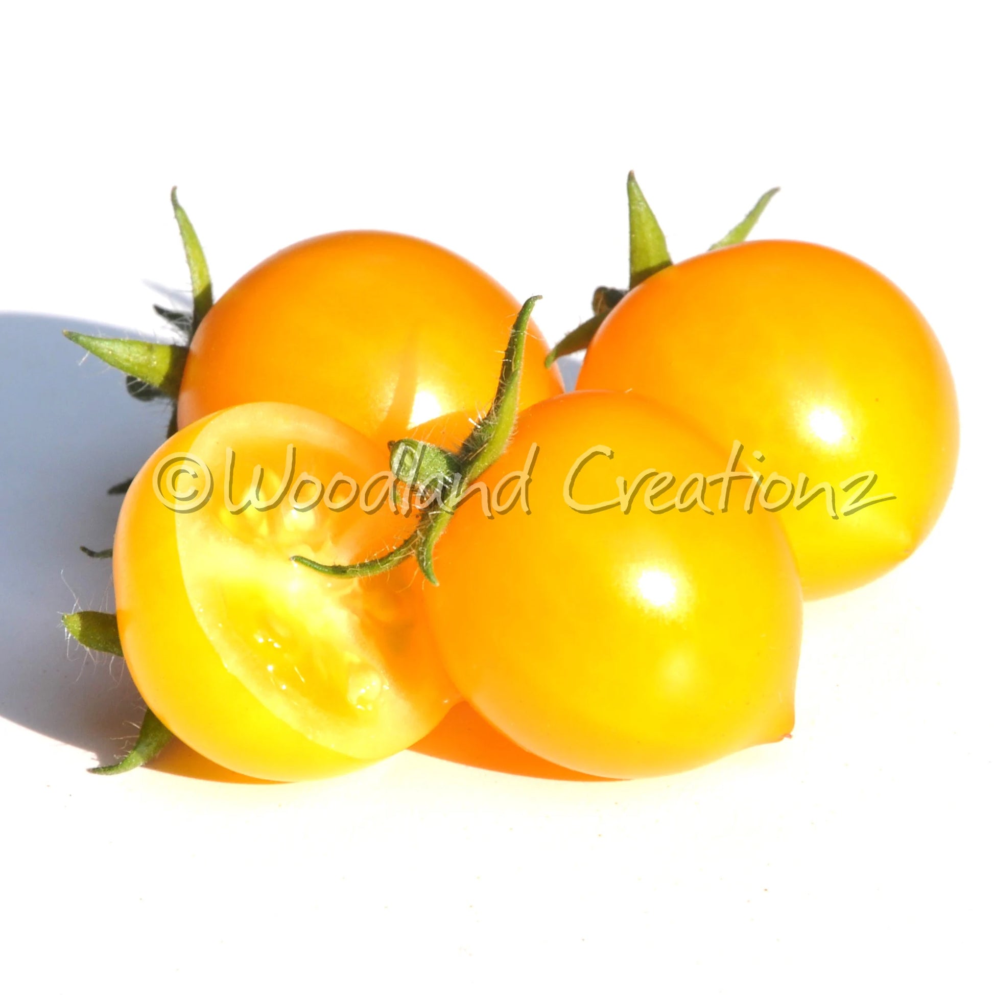 Aztek Tomato Seeds: Sweet Yellow Micro Dwarf Variety