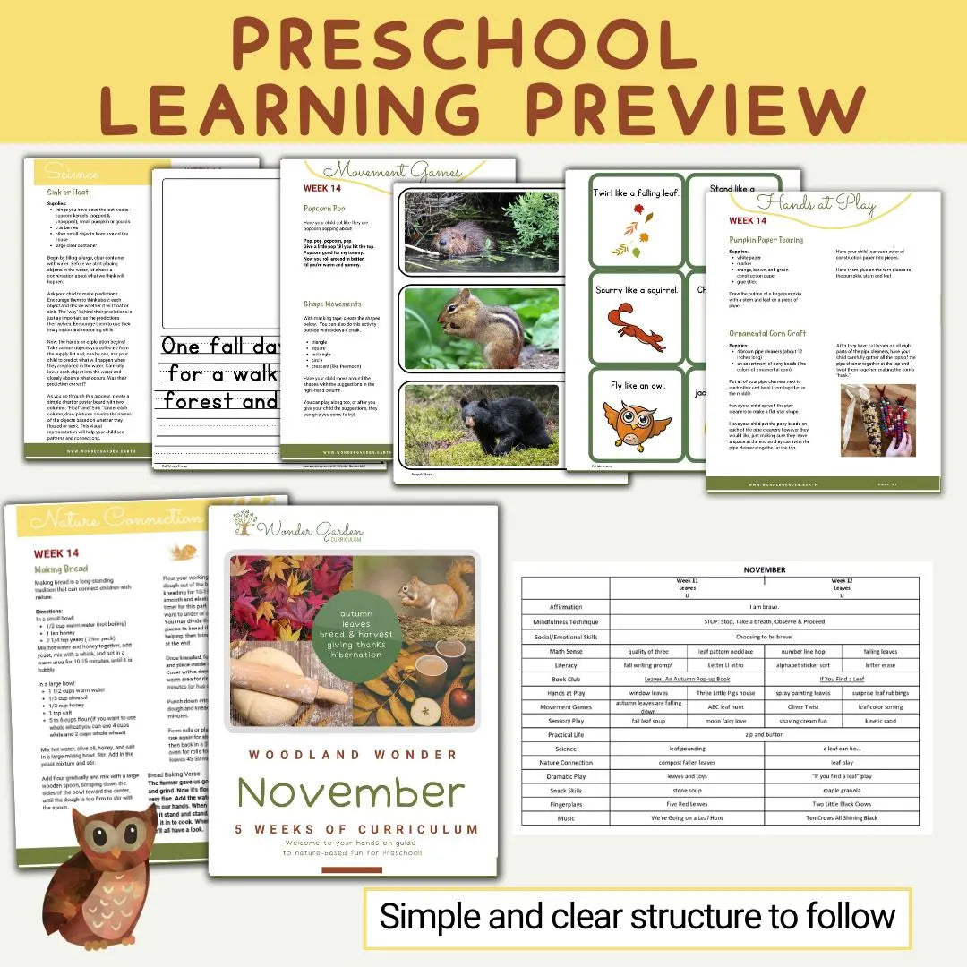 November Preschool Curriculum for Homeschoolers: Secular, Whole-child focus, Hands-on