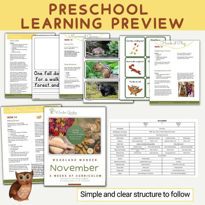 November Preschool Curriculum for Homeschoolers: Secular, Whole-child focus, Hands-on