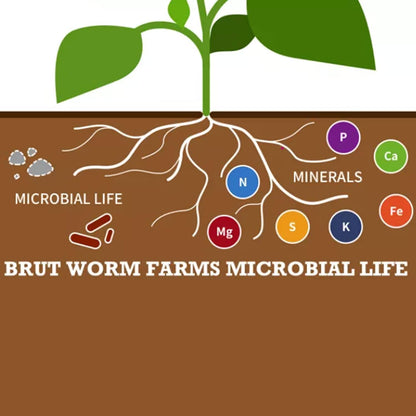 Brut Organic Worm Castings – 30 LB – Natural Nutrients, Fertility Builder, Plant Food for Potting Soil, Garden Soil, Indoor and Outdoor Use