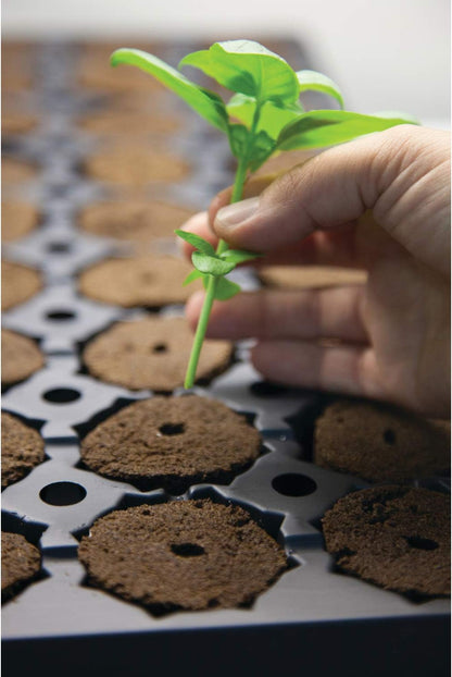 Rapid Rooter, Starter Plug for Seeds or Cuttings, Great for Soil or Hydroponics Growing System, 50 Plugs