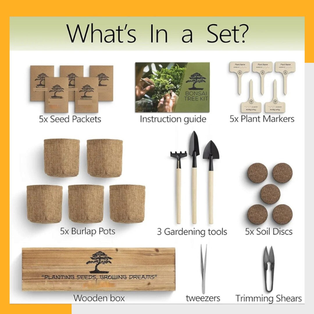 Complete Bonsai Tree Kit for Beginners and Enthusiasts | Grow 5 Unique Japanese Bonsai Trees | Indoor Gardening Gift with Tools & Planters
