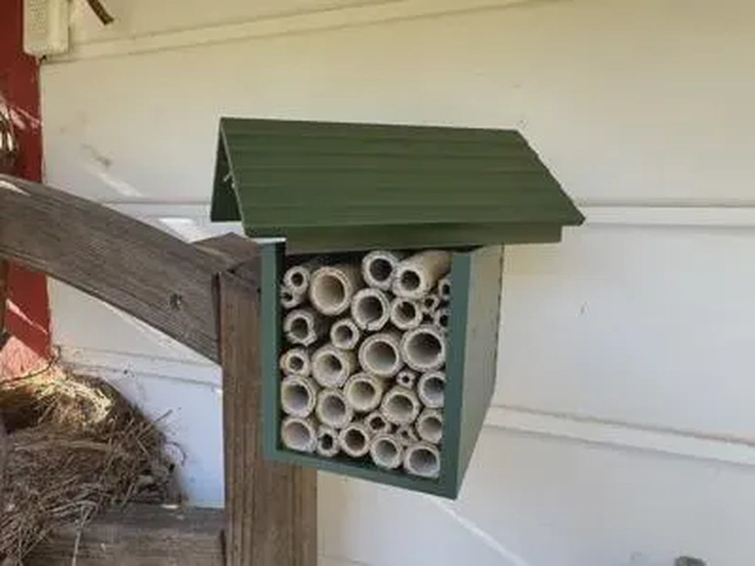 Bee Hotel