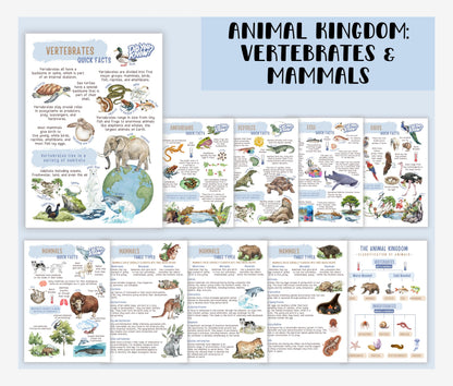 3 Unit Study BUNDLE Educational Resources for Teachers, Homeschool and Montessori Learning Spaces, Watercolor Illustrations