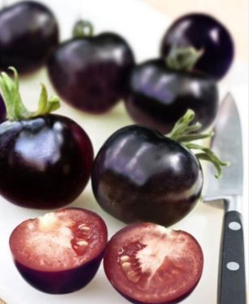 Organic Indigo Rose Tomato Seeds, Heirloom, Non-GMO, Solanum Lycopersicum LY0520