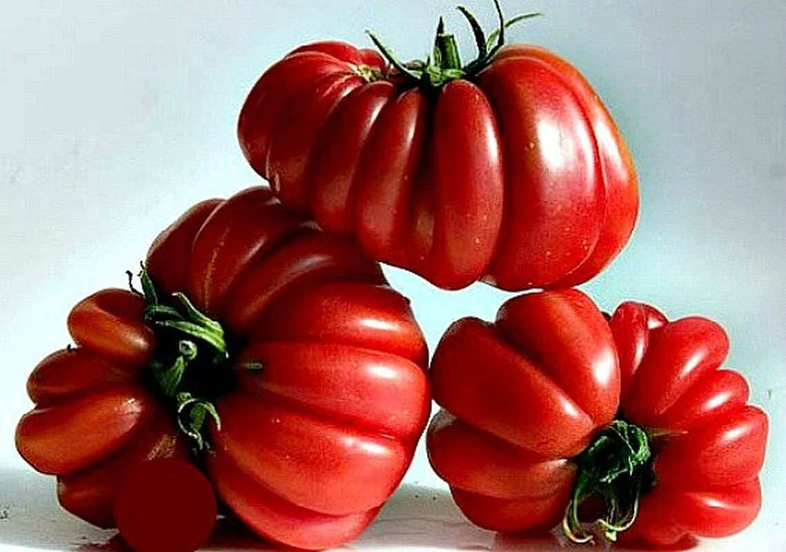 Zapotec ruffled tomato, rare Mexican heirloom, 10 seeds, loves dry heat, sweet flavor, scalloped slices, drought tolerant