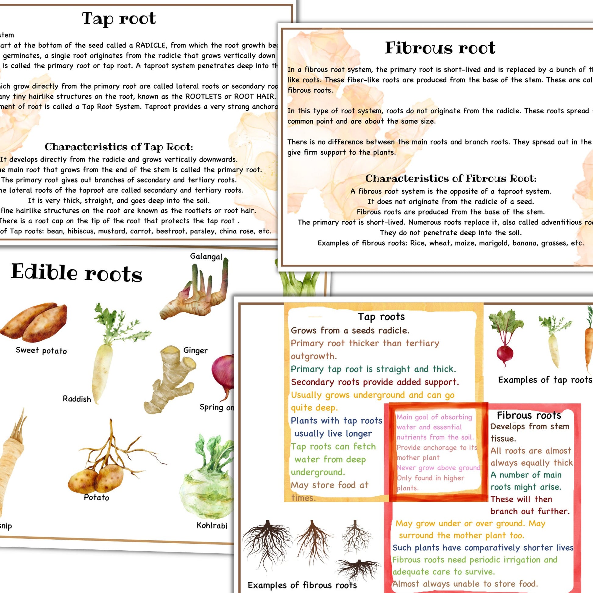 Garden unit study, Roots  anatomy, seed anatomy, soil layers, roots montessori 3 part cards, types of soil,germination activity, spring unit