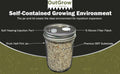 BRF Jars Brown Rice Flour Mushroom Substrate (12 Pack)