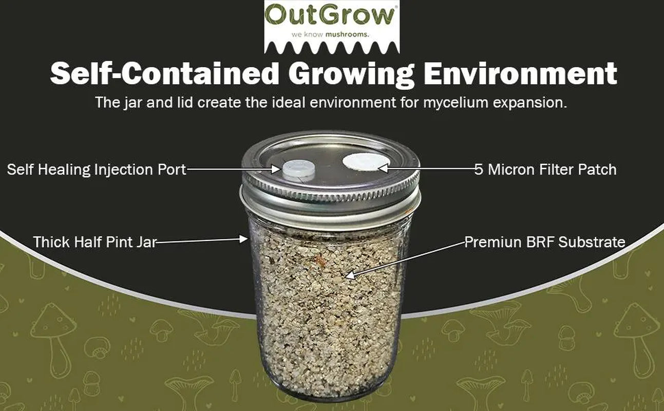 BRF Jars Brown Rice Flour Mushroom Substrate (12 Pack)