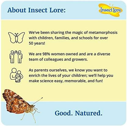 Butterfly Garden Home School Kit | Live Cup of Caterpillars | Ultra-Clear Observation Dome | Fold-Out Life Cycle Panel | STEM Butterfly Journal | Raise Painted Lady Butterflies