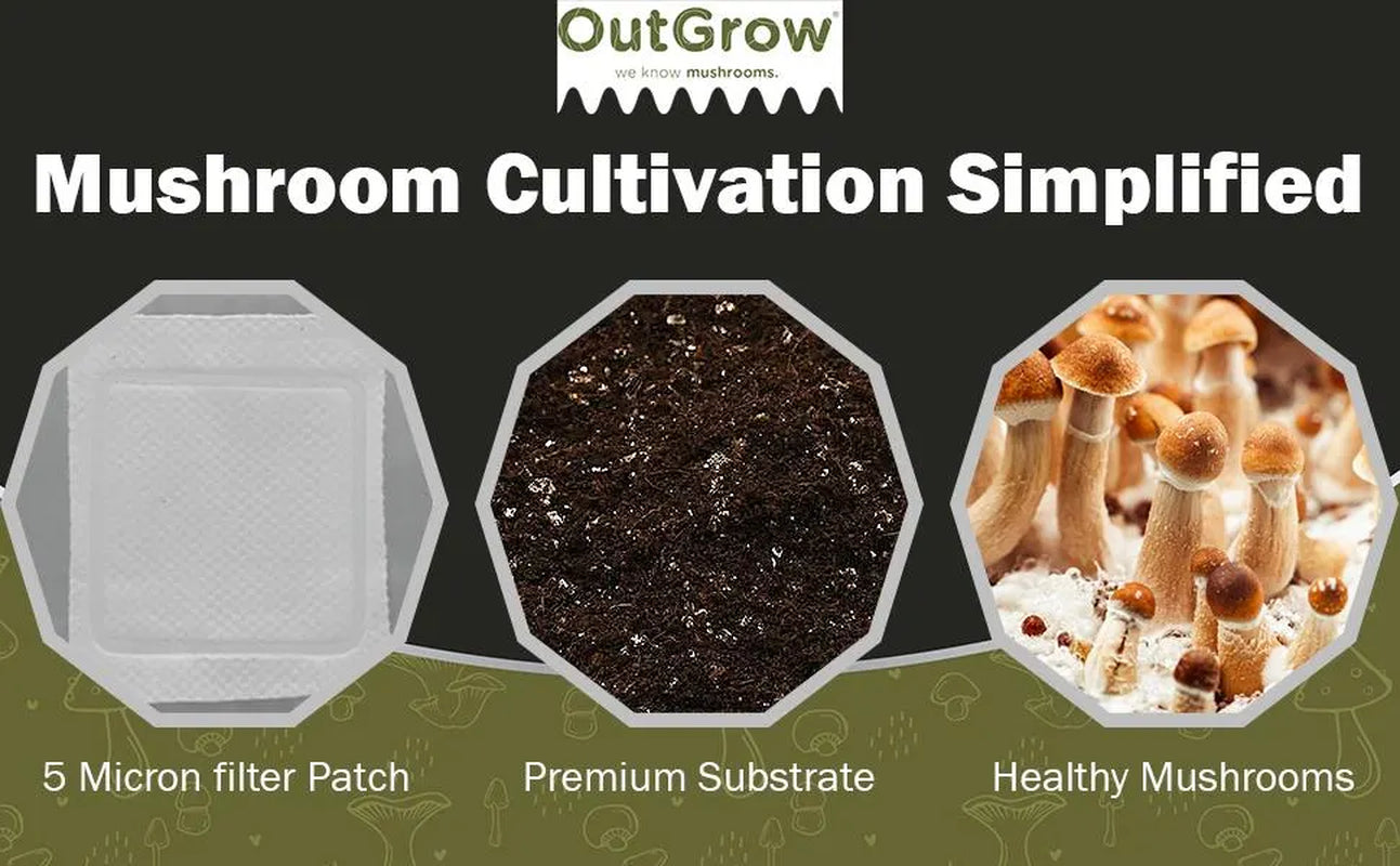 Manure Based Mushroom Substrate - 5lb Bag