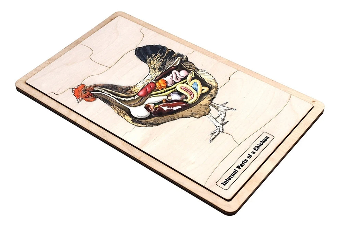 Internal Parts of a Chicken Puzzle with Nomenclature Cards (6-9) (Printed) | Montessori Materials | Montessori Zoology | Three Part Cards