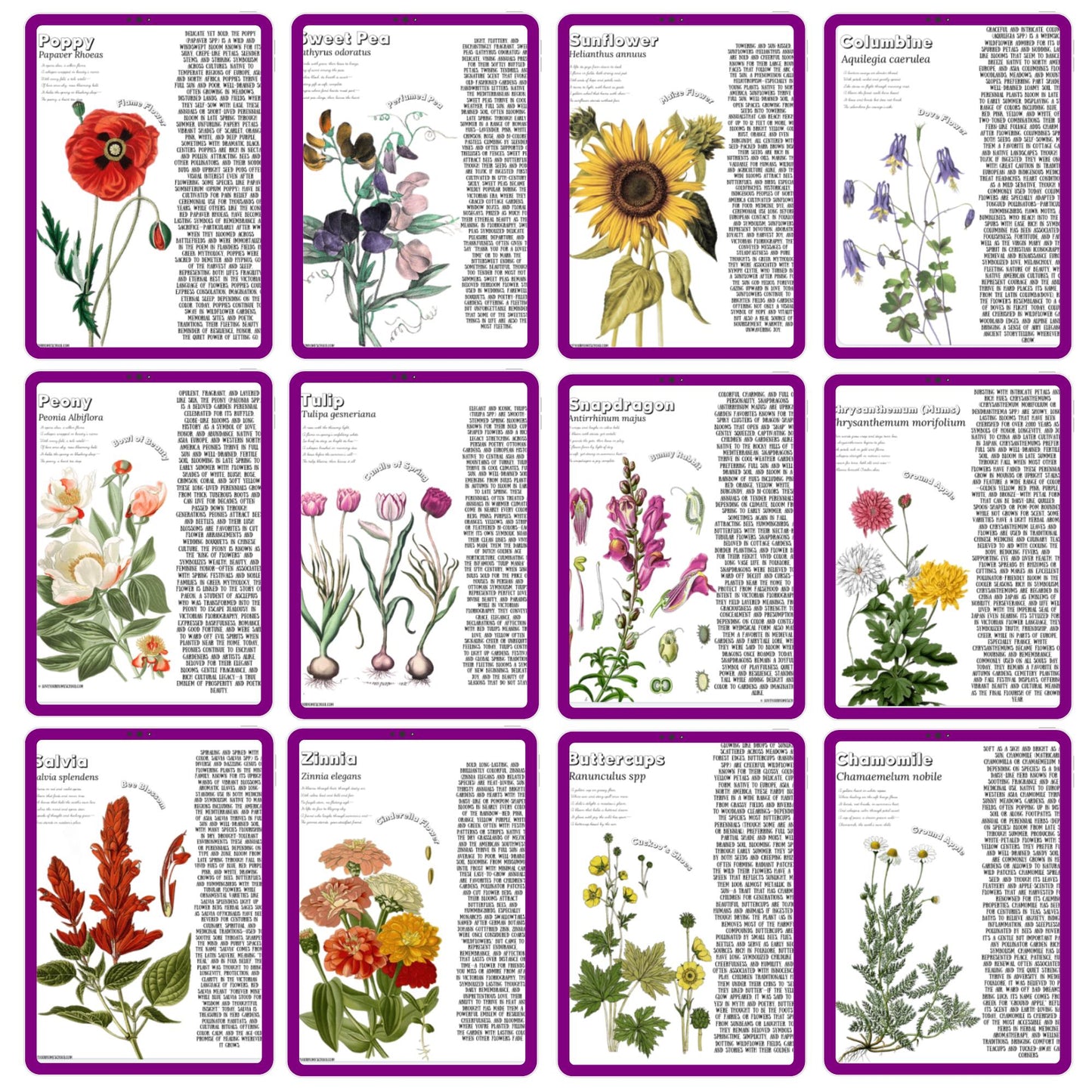 HUGE Homeschool Flower Notebooking Pack 322 Pages Flower Garden Unit Study Worksheets Curriculum Nature Journal Flashcard Coloring Page