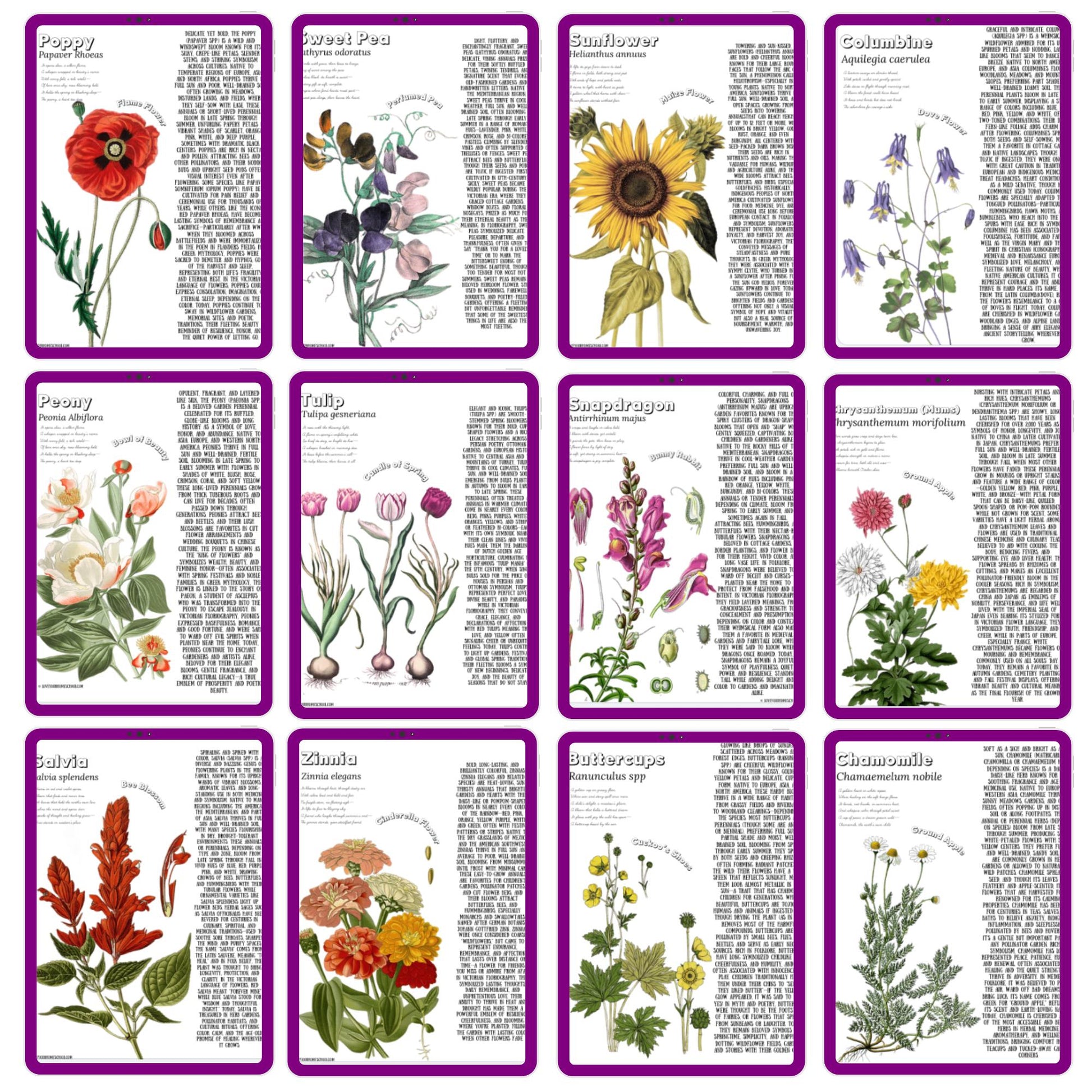 HUGE Homeschool Flower Notebooking Pack 322 Pages Flower Garden Unit Study Worksheets Curriculum Nature Journal Flashcard Coloring Page